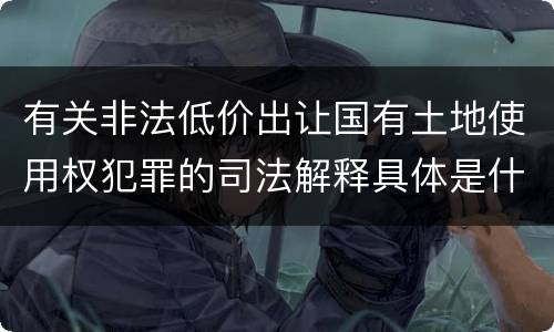 有关非法低价出让国有土地使用权犯罪的司法解释具体是什么重要内容