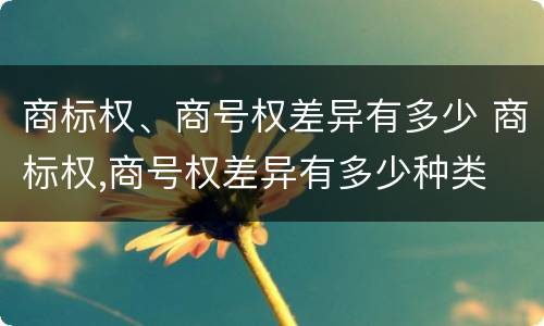 商标权、商号权差异有多少 商标权,商号权差异有多少种类