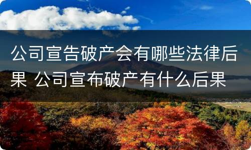 公司宣告破产会有哪些法律后果 公司宣布破产有什么后果