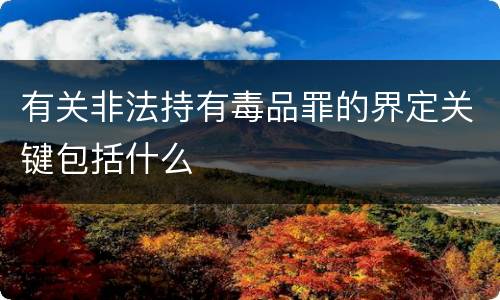 有关非法持有毒品罪的界定关键包括什么