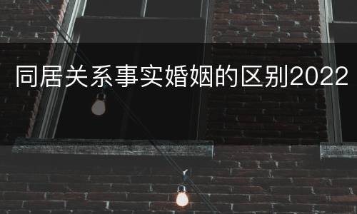 同居关系事实婚姻的区别2022
