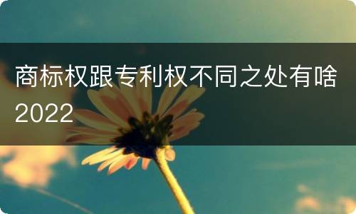 商标权跟专利权不同之处有啥2022