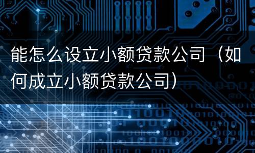 能怎么设立小额贷款公司（如何成立小额贷款公司）