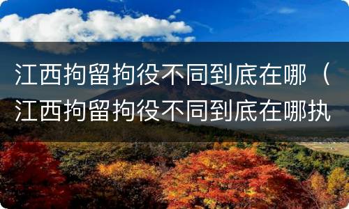 江西拘留拘役不同到底在哪（江西拘留拘役不同到底在哪执行）