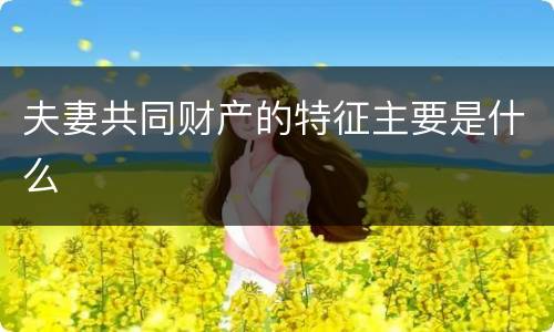 夫妻共同财产的特征主要是什么