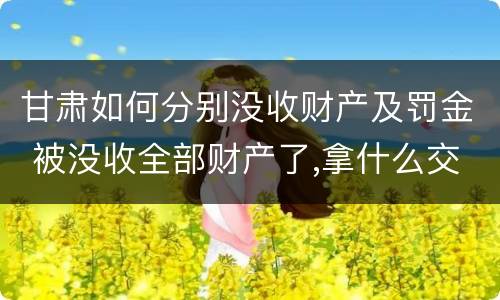甘肃如何分别没收财产及罚金 被没收全部财产了,拿什么交罚金