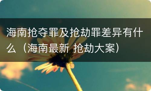 海南抢夺罪及抢劫罪差异有什么（海南最新 抢劫大案）