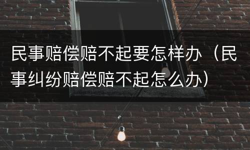 民事赔偿赔不起要怎样办（民事纠纷赔偿赔不起怎么办）