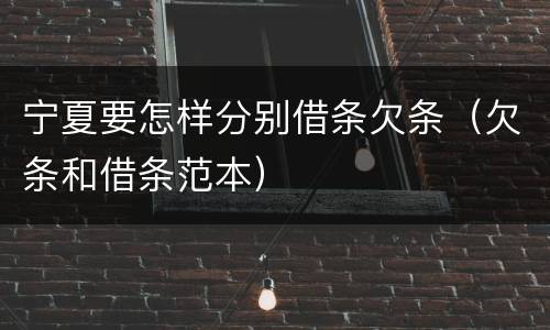 宁夏要怎样分别借条欠条（欠条和借条范本）