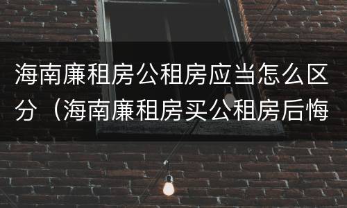 海南廉租房公租房应当怎么区分（海南廉租房买公租房后悔了）