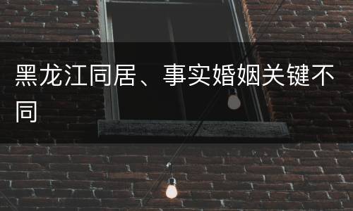 黑龙江同居、事实婚姻关键不同