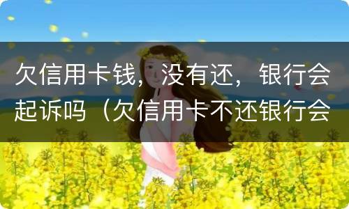 欠信用卡钱，没有还，银行会起诉吗（欠信用卡不还银行会起诉吗）