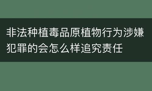 非法种植毒品原植物行为涉嫌犯罪的会怎么样追究责任