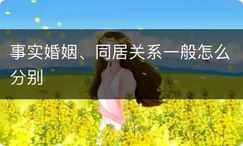 事实婚姻、同居关系一般怎么分别