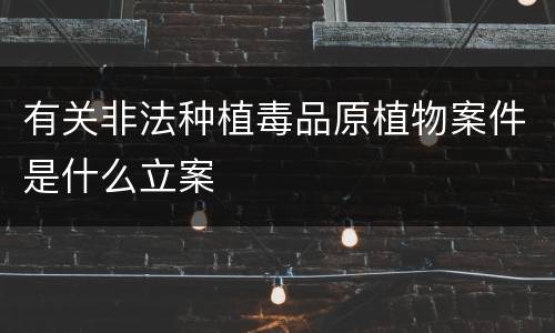 有关非法种植毒品原植物案件是什么立案
