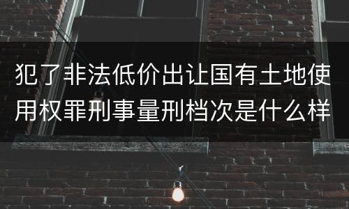 犯了非法低价出让国有土地使用权罪刑事量刑档次是什么样