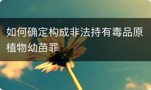 如何确定构成非法持有毒品原植物幼苗罪