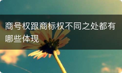 商号权跟商标权不同之处都有哪些体现