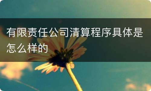 有限责任公司清算程序具体是怎么样的