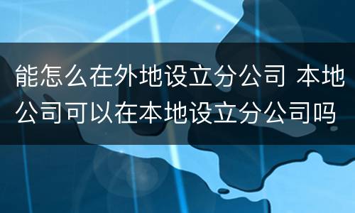 能怎么在外地设立分公司 本地公司可以在本地设立分公司吗