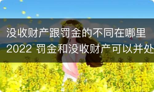 没收财产跟罚金的不同在哪里2022 罚金和没收财产可以并处吗