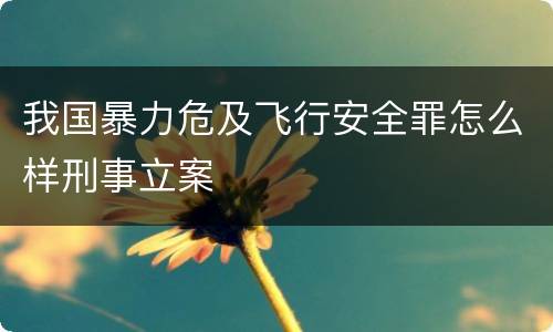 我国暴力危及飞行安全罪怎么样刑事立案