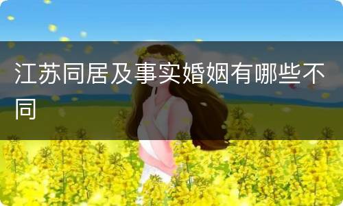 江苏同居及事实婚姻有哪些不同
