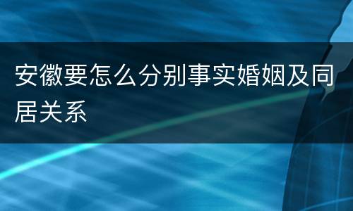 安徽要怎么分别事实婚姻及同居关系