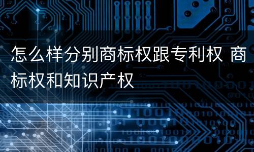 怎么样分别商标权跟专利权 商标权和知识产权
