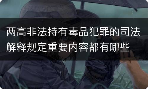 两高非法持有毒品犯罪的司法解释规定重要内容都有哪些