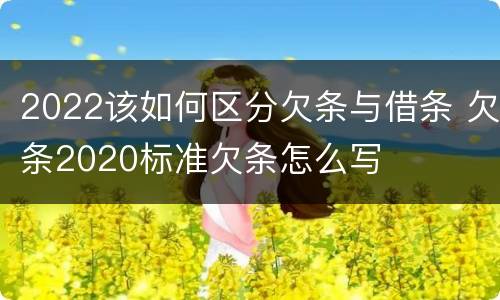 2022该如何区分欠条与借条 欠条2020标准欠条怎么写