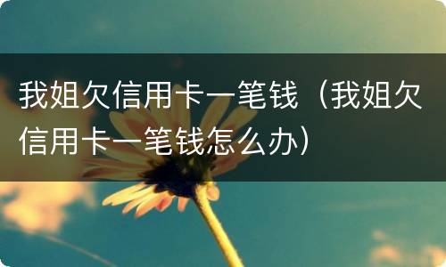 我姐欠信用卡一笔钱（我姐欠信用卡一笔钱怎么办）