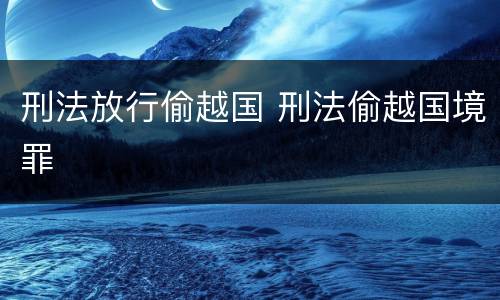 刑法放行偷越国 刑法偷越国境罪