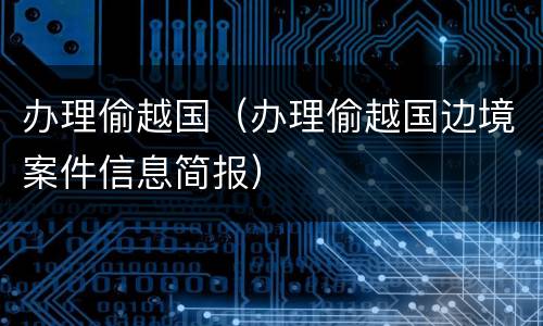 办理偷越国（办理偷越国边境案件信息简报）