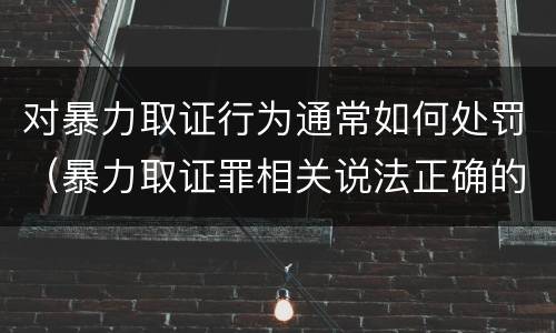 对暴力取证行为通常如何处罚（暴力取证罪相关说法正确的是）