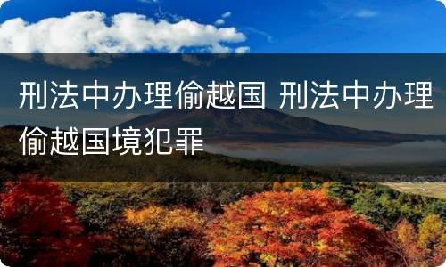 刑法中办理偷越国 刑法中办理偷越国境犯罪