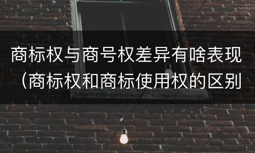 商标权与商号权差异有啥表现（商标权和商标使用权的区别）