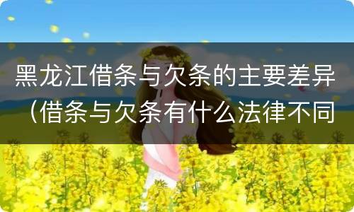 黑龙江借条与欠条的主要差异（借条与欠条有什么法律不同依据）