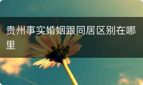 贵州事实婚姻跟同居区别在哪里