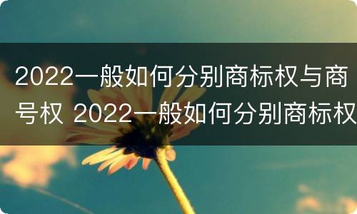 2022一般如何分别商标权与商号权 2022一般如何分别商标权与商号权呢