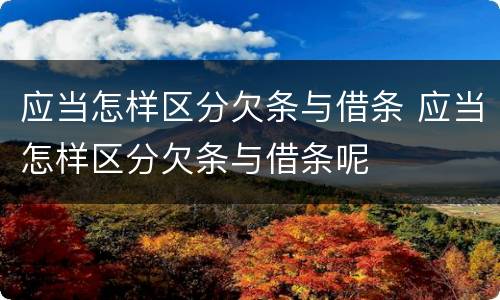 应当怎样区分欠条与借条 应当怎样区分欠条与借条呢