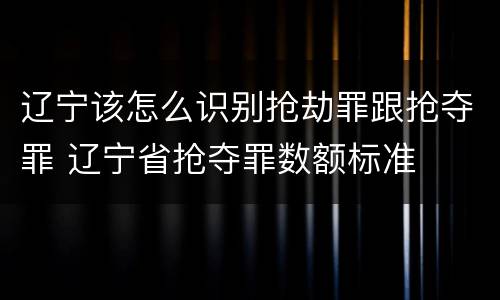 辽宁该怎么识别抢劫罪跟抢夺罪 辽宁省抢夺罪数额标准