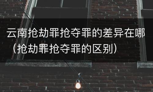 云南抢劫罪抢夺罪的差异在哪（抢劫罪抢夺罪的区别）