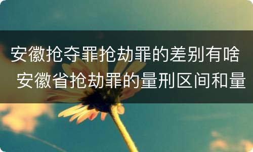 安徽抢夺罪抢劫罪的差别有啥 安徽省抢劫罪的量刑区间和量刑情节