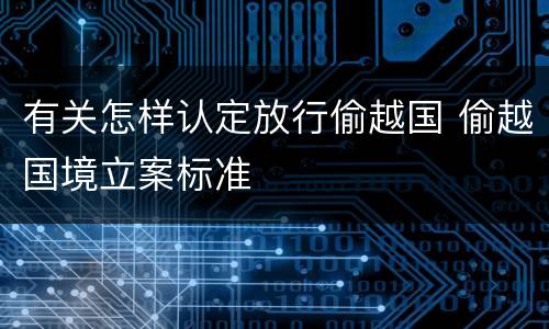 有关怎样认定放行偷越国 偷越国境立案标准