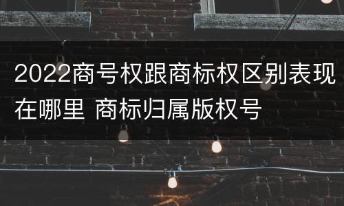 2022商号权跟商标权区别表现在哪里 商标归属版权号