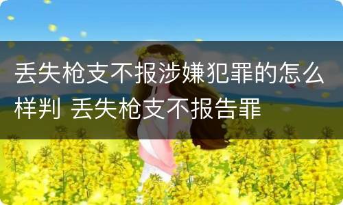 丢失枪支不报涉嫌犯罪的怎么样判 丢失枪支不报告罪