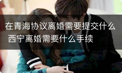 在青海协议离婚需要提交什么 西宁离婚需要什么手续