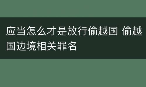应当怎么才是放行偷越国 偷越国边境相关罪名