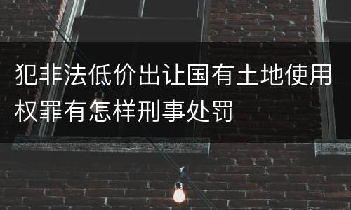 犯非法低价出让国有土地使用权罪有怎样刑事处罚